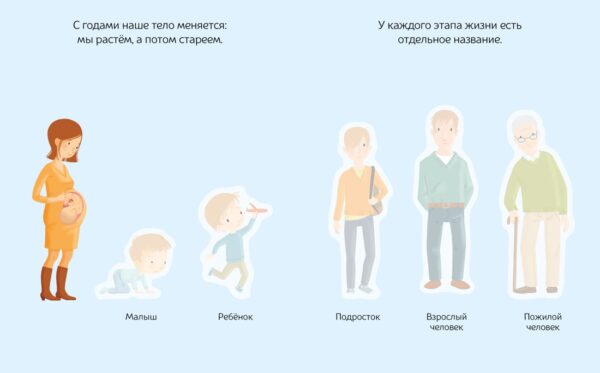 Наклейки. Тело человека. Раннее развитие малыша. — изображение 3